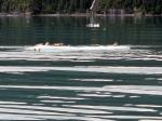 Prince William Sound 26 Glacier Cruise